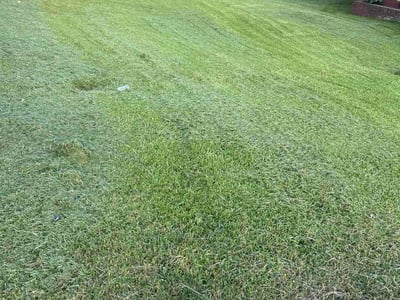 Lawn Care service in Forest Park, 30297