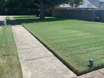 Lawn Care service in Cordova, 38018