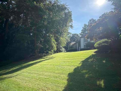 Lawn Care service in Duluth, 30096