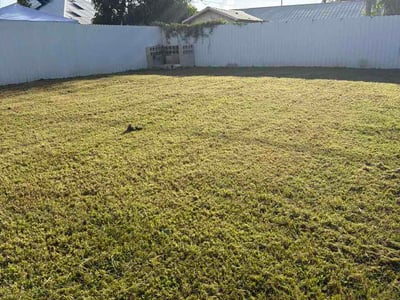 Lawn Care service in Oldsmar, 34677