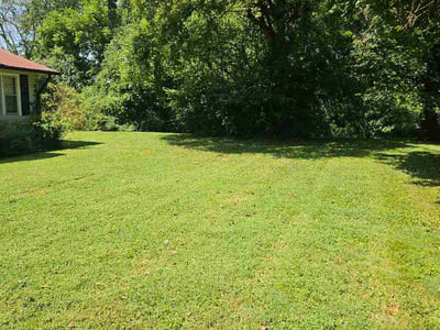 Lawn Care service in Columbia, 38401