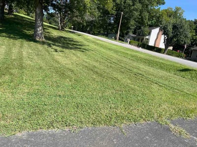 Lawn Care service in Columbia, 38401