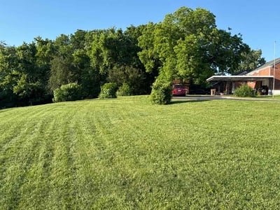 Lawn Care service in Columbia, 38401