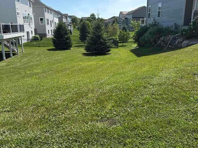 Lawn Care service in North Branch, 55056