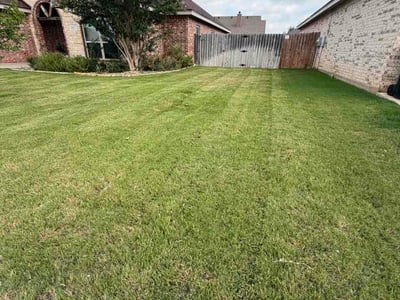 Lawn Care service in Abilene, 79602