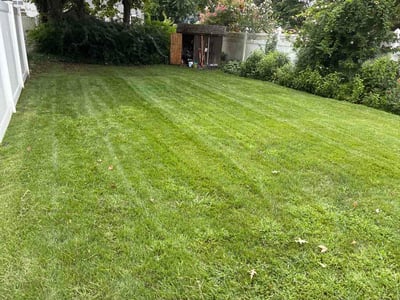 Lawn Care service in Farmingdale, 11735