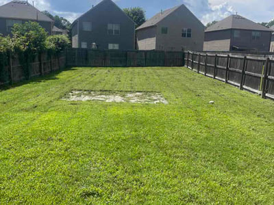 Lawn Care service in Bremen, 30110