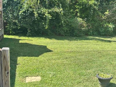 Lawn Care service in Soddy Daisy, 37379