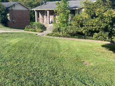 Lawn Care service in Ashland City, 37015