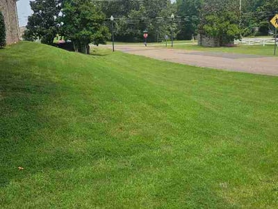Lawn Care service in Soddy Daisy, 37379