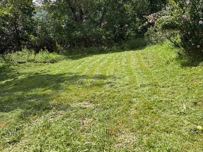Lawn Care service in Canonsburg, 15317