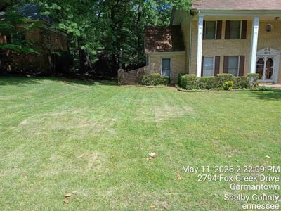 Lawn Care service in Germantown, 38138