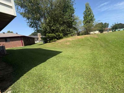 Lawn Care service in Irondale, 35210
