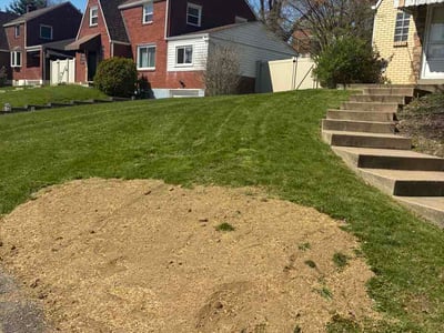 Lawn Care service in West Newton, 15089