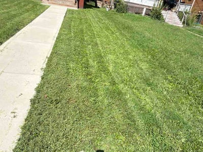 Lawn Care service in West Newton, 15089