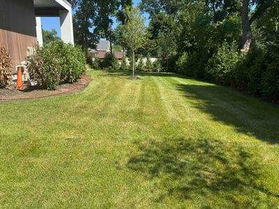 Lawn Care service in South Brunswick, 08852