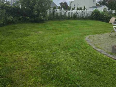 Lawn Care service in South Brunswick, 08852