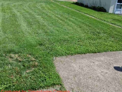 Lawn Care service in Glenshaw, 15116