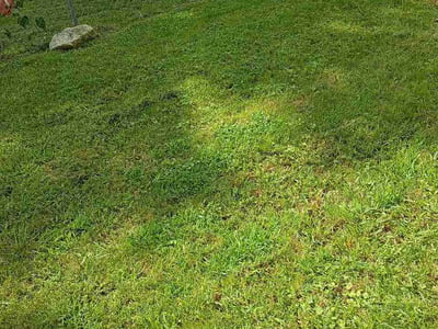 Lawn Care service in Arnold, 63010