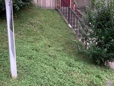 Lawn Care service in Gibsonia, 15044