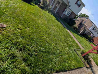 Lawn Care service in Ford City, 16226