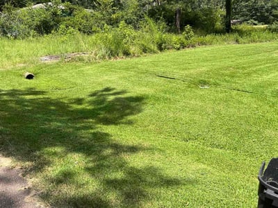 Lawn Care service in Pearl, 39208