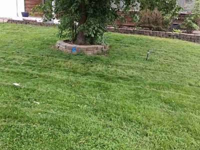 Lawn Care service in Republic, 65738