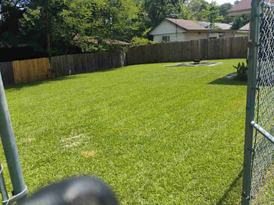 Lawn Care service in Pearl, 39208