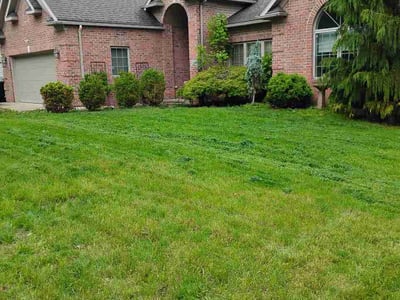 Lawn Care service in Tarentum, 15084