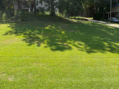 Lawn Care service in Leawood, 64804