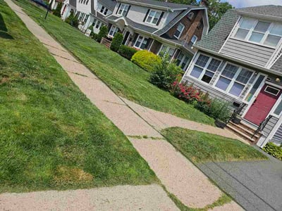Lawn Care service in Hackensack, 07601