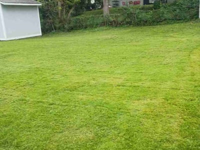 Lawn Care service in Union, 63084