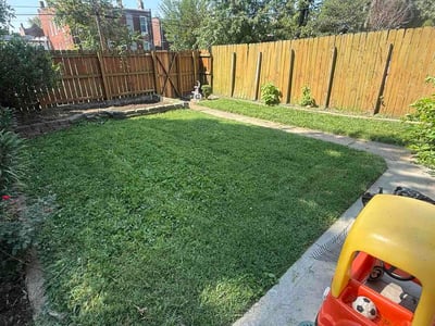 Lawn Care service in Clayton, 63105