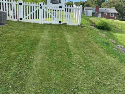 Lawn Care service in Dunbar, 15431