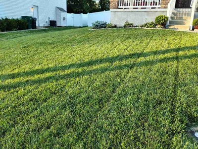 Lawn Care service in Dunbar, 15431