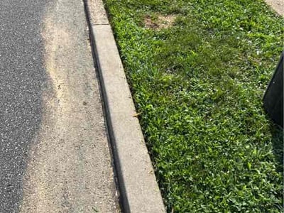 Lawn Care service in Havertown, 19083