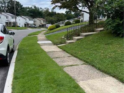 Lawn Care service in Havertown, 19083