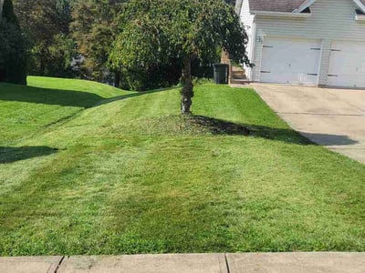 Lawn Care service in McKees Rocks, 15136