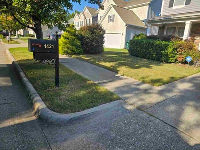 Lawn Care service in Youngsville, 27596