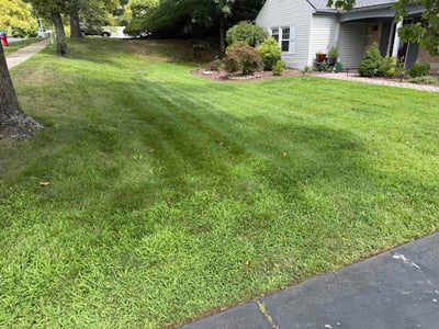 Lawn Care service in Old Bridge, 08857