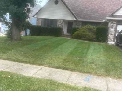 Lawn Care service in Gladstone, 64118
