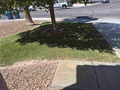 Lawn Care service in Las Vegas, 89101
