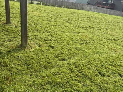 Lawn Care service in Gladstone, 64118