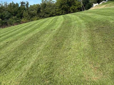 Lawn Care service in Ross Township, 15237