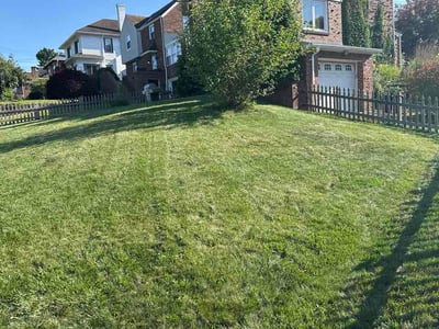 Lawn Care service in Ross Township, 15237