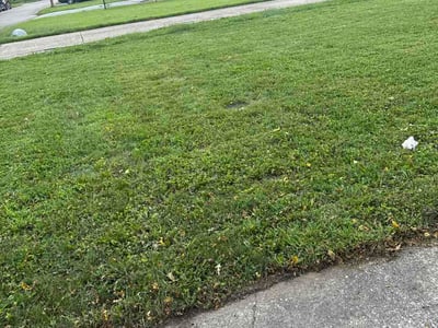 Lawn Care service in Beaver Falls, 15010
