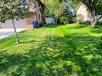 Lawn Care service in Papillion, 68046