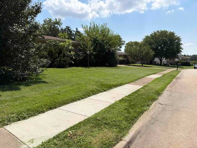 Lawn Care service in Fenton, 63026
