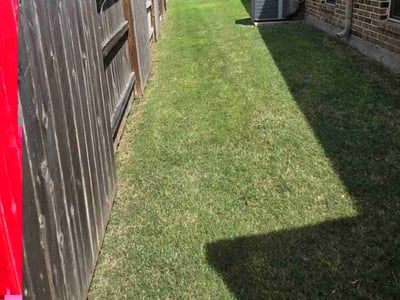 Lawn Care service in Scranton, 18503