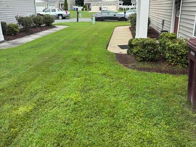 Lawn Care service in Sayreville, 08872